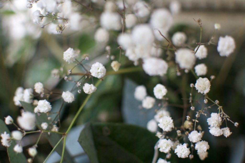 christmas winter garland